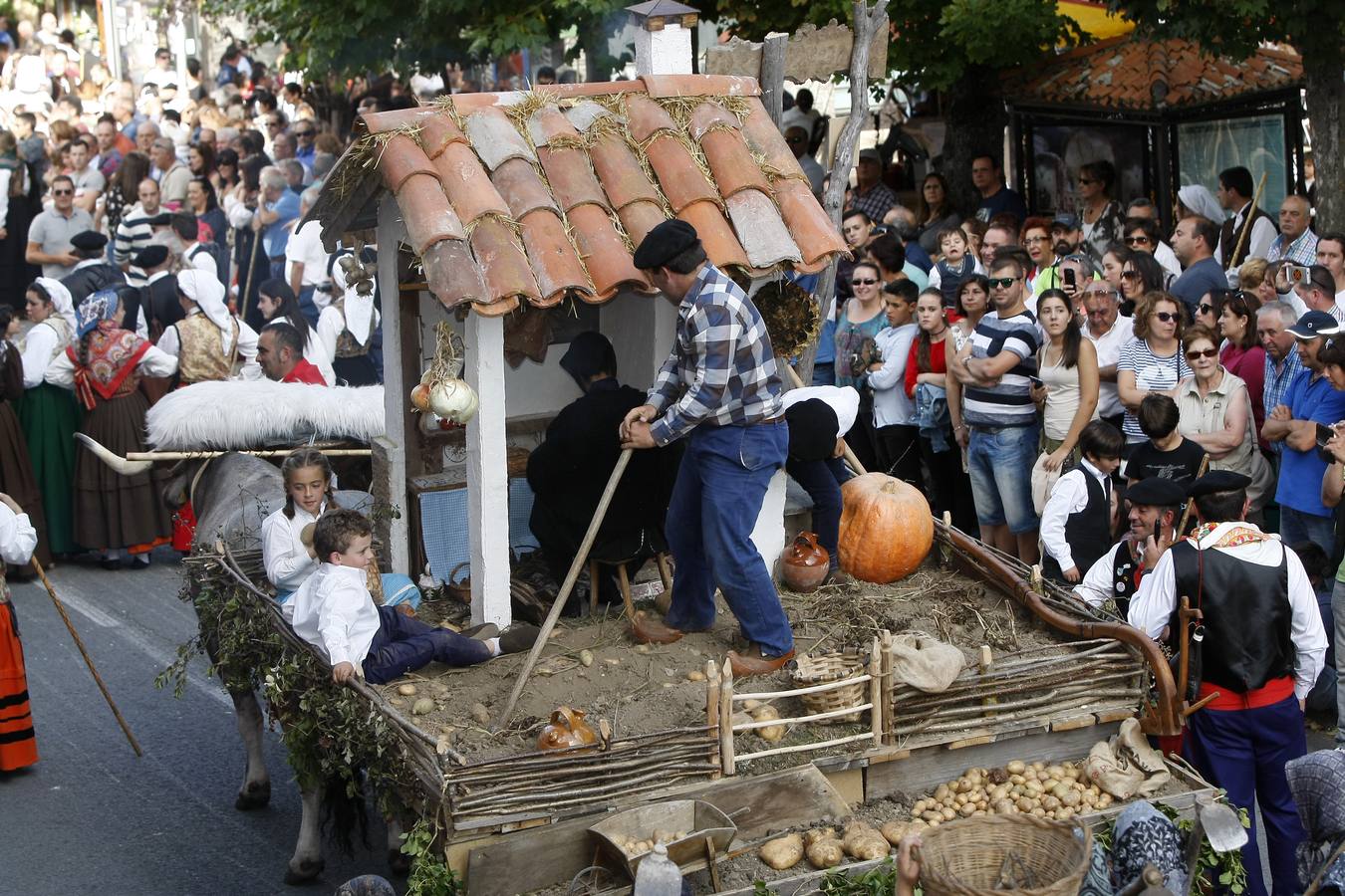 Búscate en las fotos si estuviste en el Día de Campoo