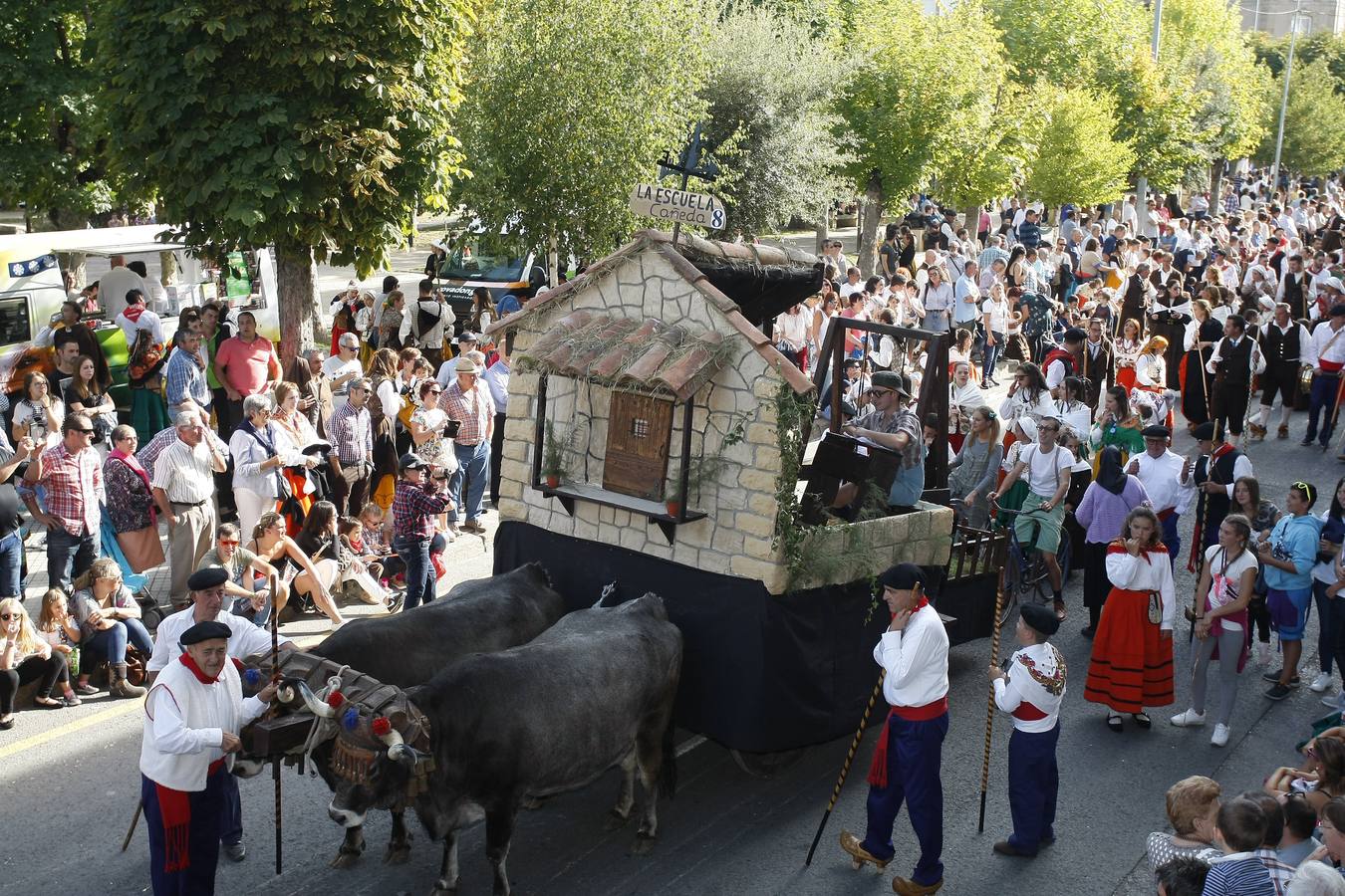 Búscate en las fotos si estuviste en el Día de Campoo