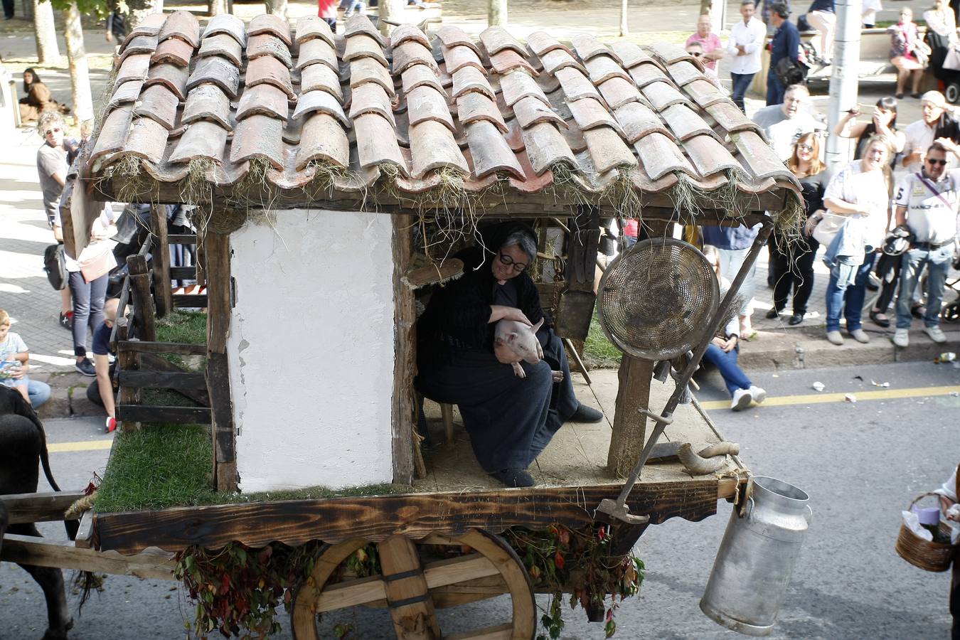 Búscate en las fotos si estuviste en el Día de Campoo