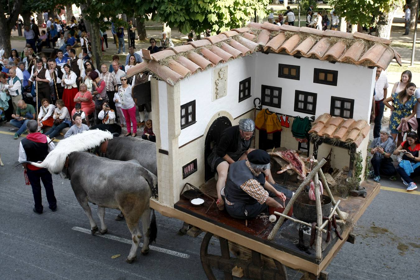 Búscate en las fotos si estuviste en el Día de Campoo