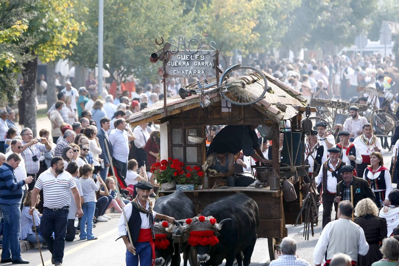 Búscate en las fotos si estuviste en el Día de Campoo