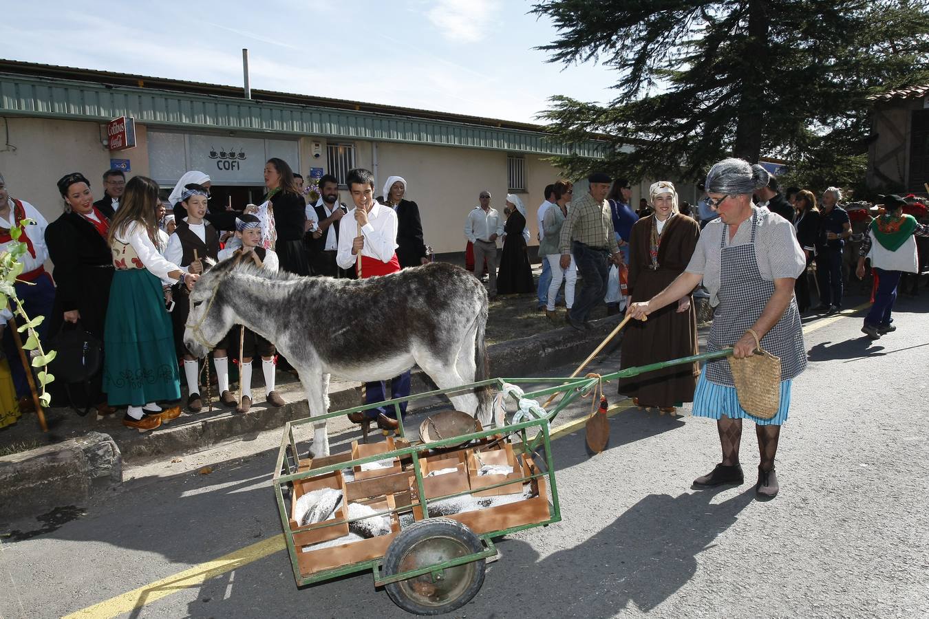 Búscate en las fotos si estuviste en el Día de Campoo