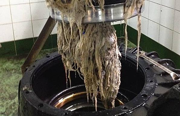 No tires la toallita