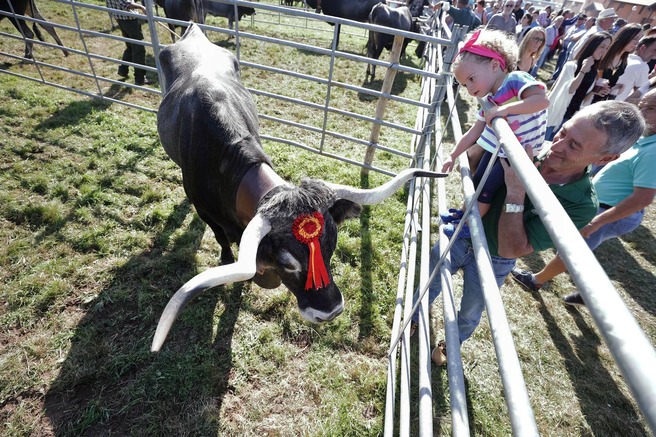 Olimpiada del Tudanco en Cabezón de la Sal