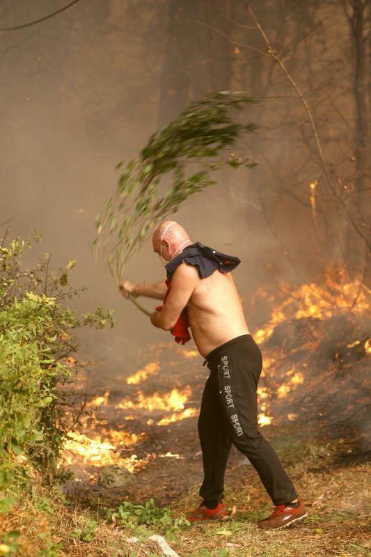 Unos 350 brigadas, 220 motobombas, cuarenta palas y una veintena de medios aéreos trabajan en la comunidad gallega para combatir los incendios que arrasan más de 4.000 hectáreas en 146 nuevos focos desde el viernes