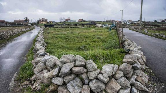 Una de las parcelas afectadas en la zona de San Román