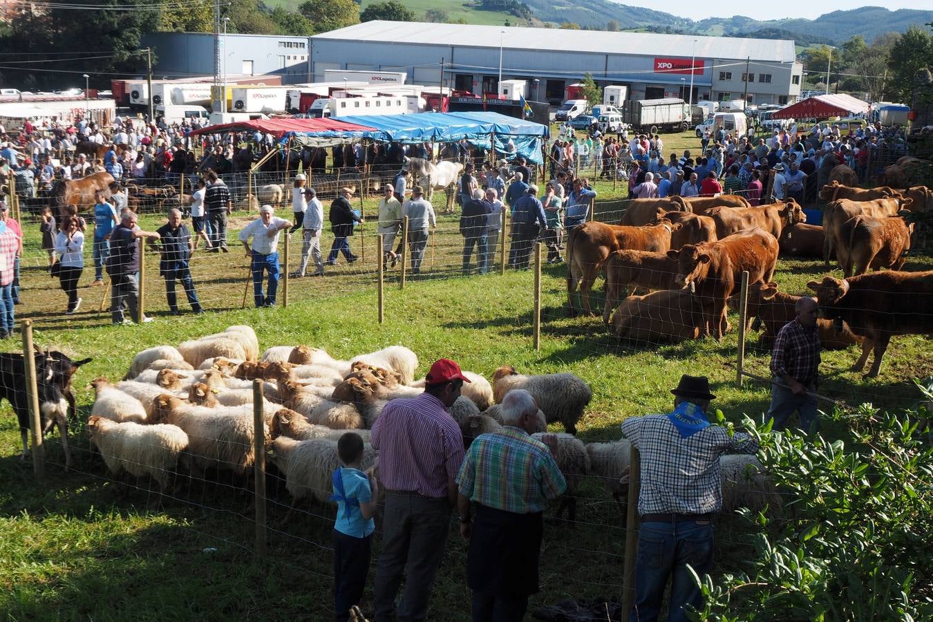 Más de 1.000 personas acuden a la tradicional cita ganadera y comercial que se celebra en Hoznayo