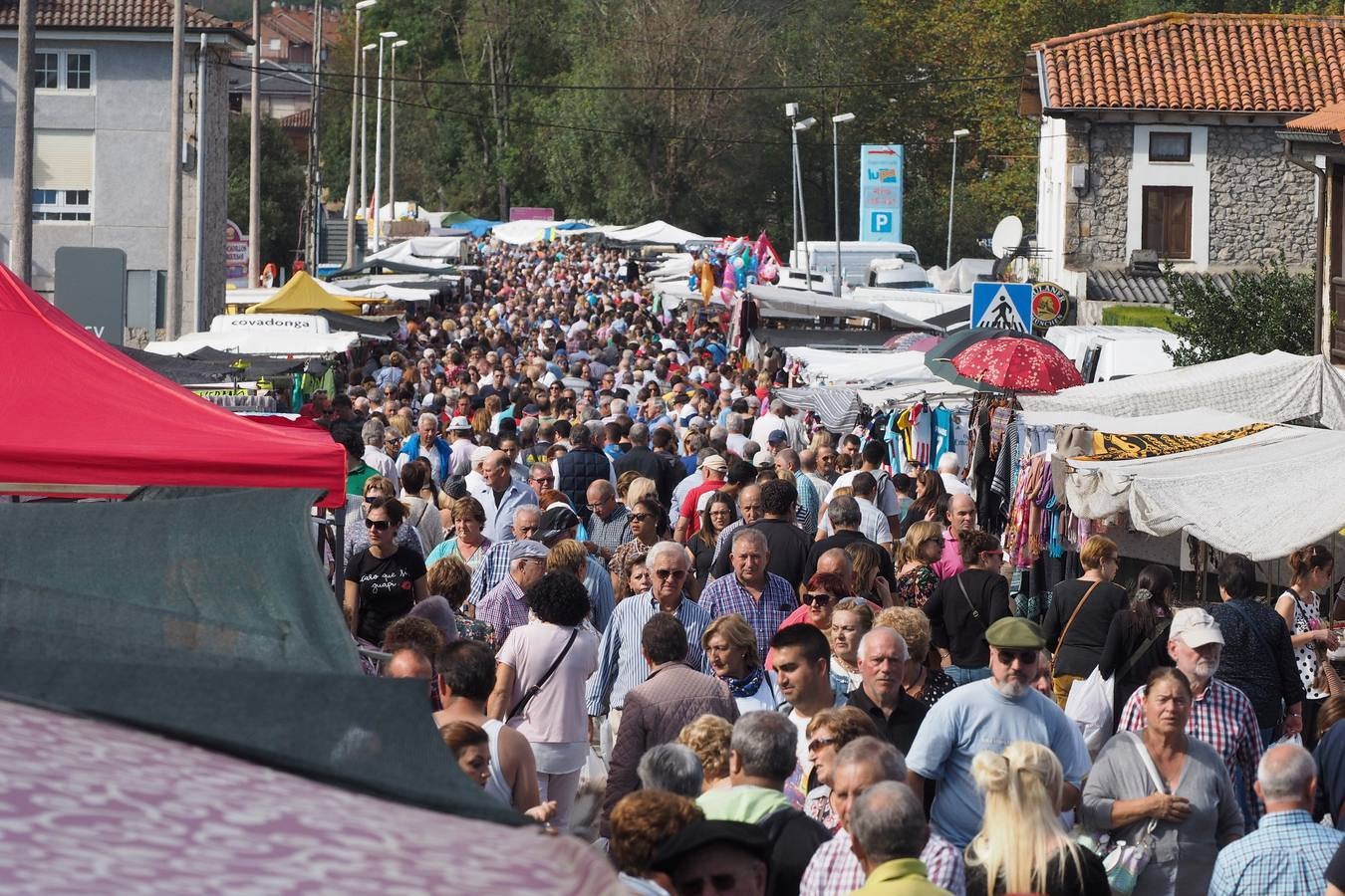 Más de 1.000 personas acuden a la tradicional cita ganadera y comercial que se celebra en Hoznayo