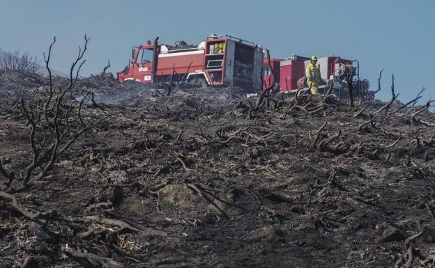 El Seprona denuncia 1.888 infracciones en Cantabria en 2016