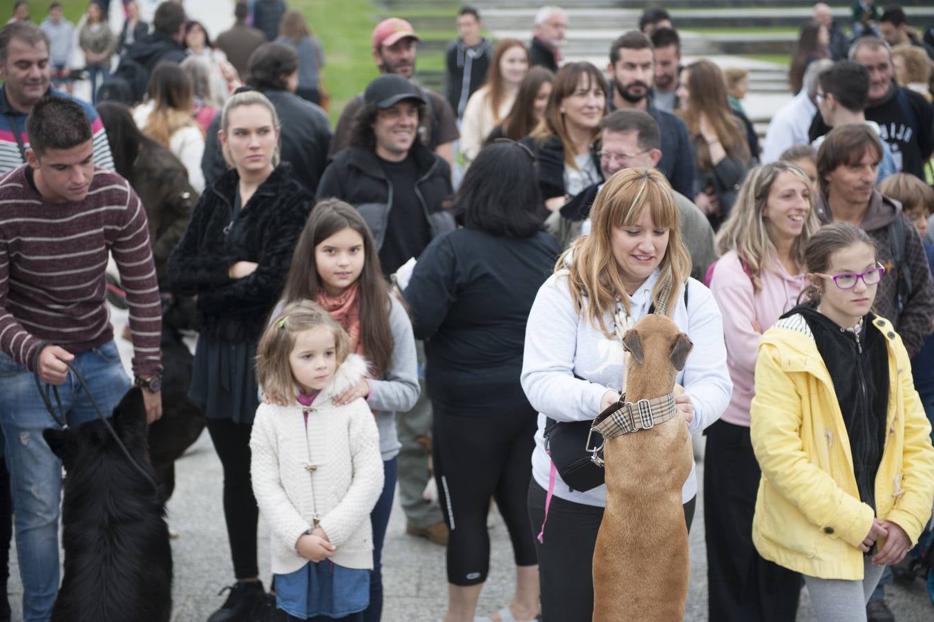 Un centenar de perros se reunieron este domingo en Las Llamas con motivo de la III Feria de Animales