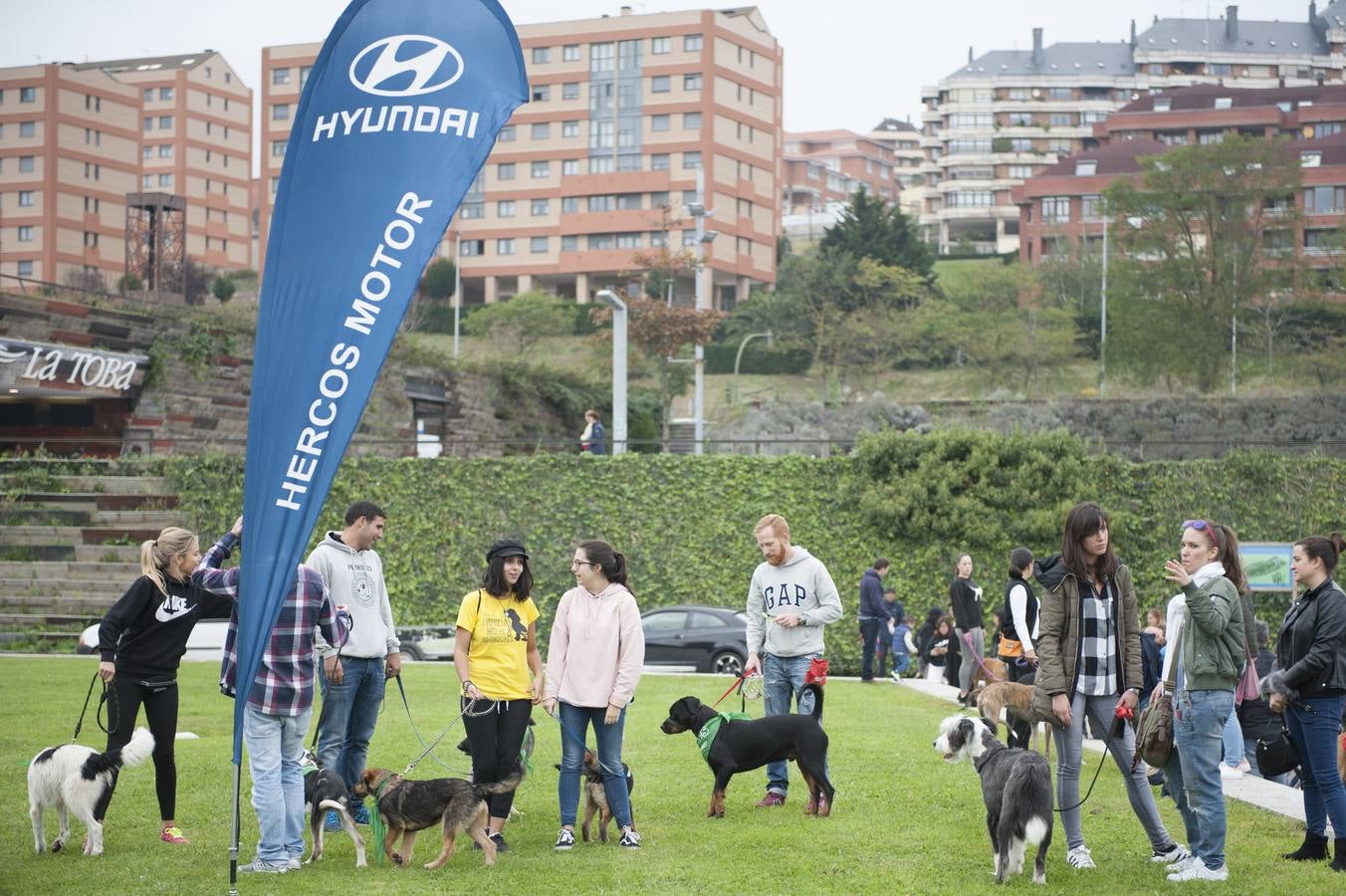 Un centenar de perros se reunieron este domingo en Las Llamas con motivo de la III Feria de Animales