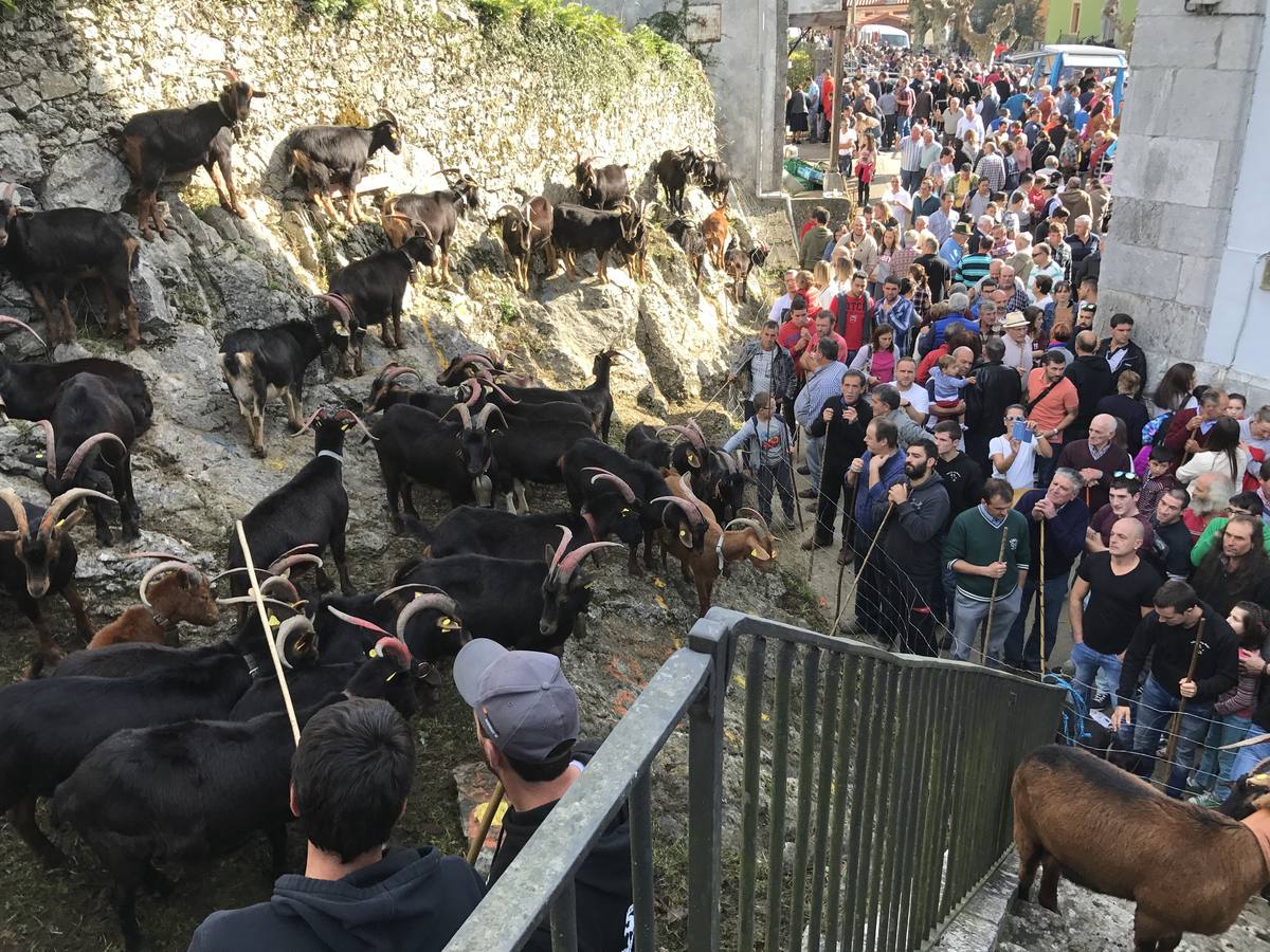 Miles de personas abarrotaron la "capital del mundo" y su tradicional mercado de cabras y ovejas