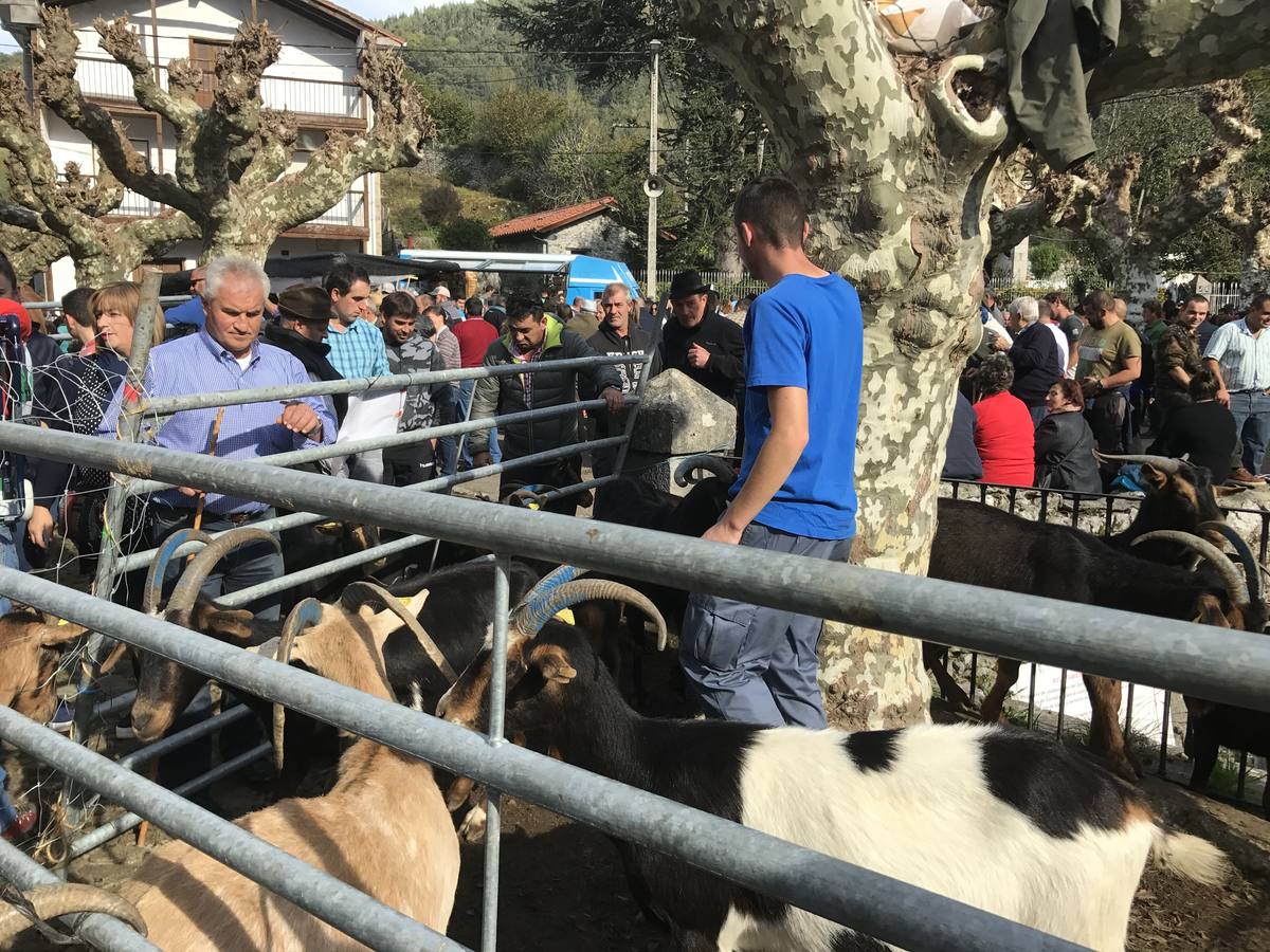 Miles de personas abarrotaron la "capital del mundo" y su tradicional mercado de cabras y ovejas