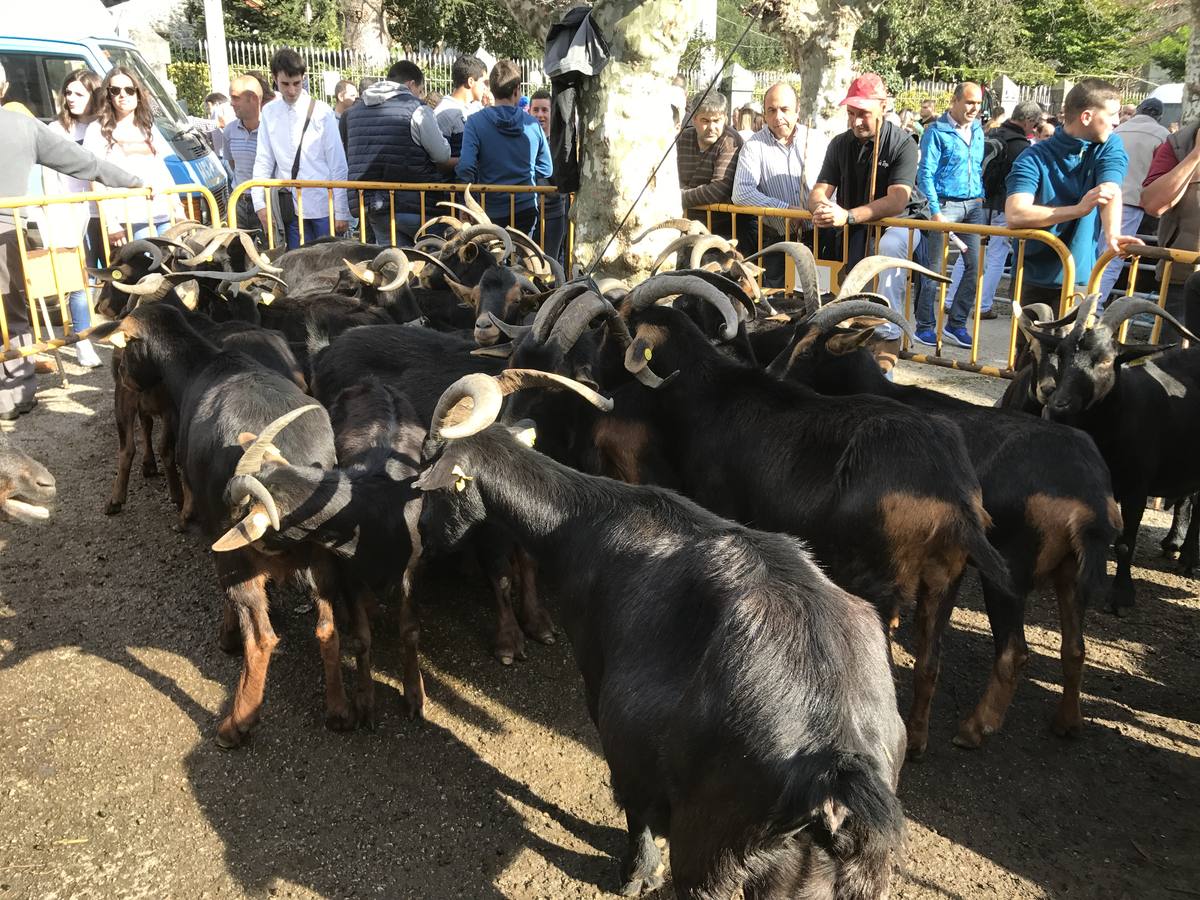 Miles de personas abarrotaron la "capital del mundo" y su tradicional mercado de cabras y ovejas