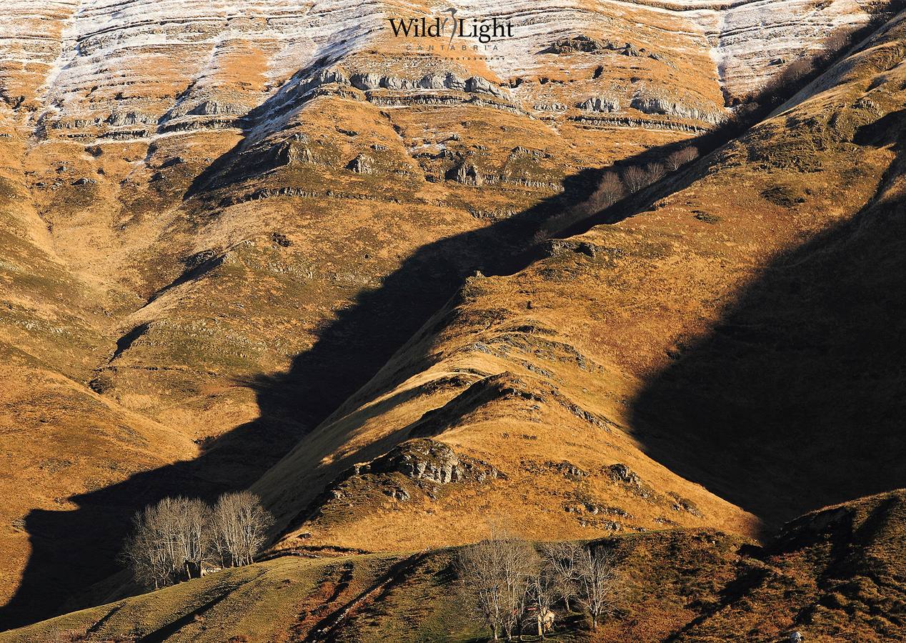 El conservacionista cántabro Roberto González lanza WildLife Cantabria, una web para difundir la belleza y riqueza de la naturaleza de Cantabria.