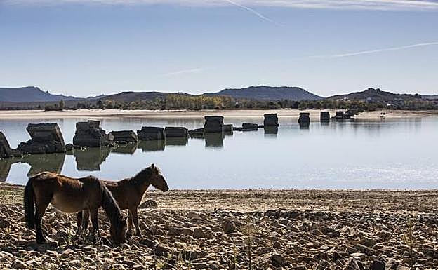 Los restos del antiguo puente Noguerol queda a la vista por el poco agua que hay en el pantano del Ebro. 
