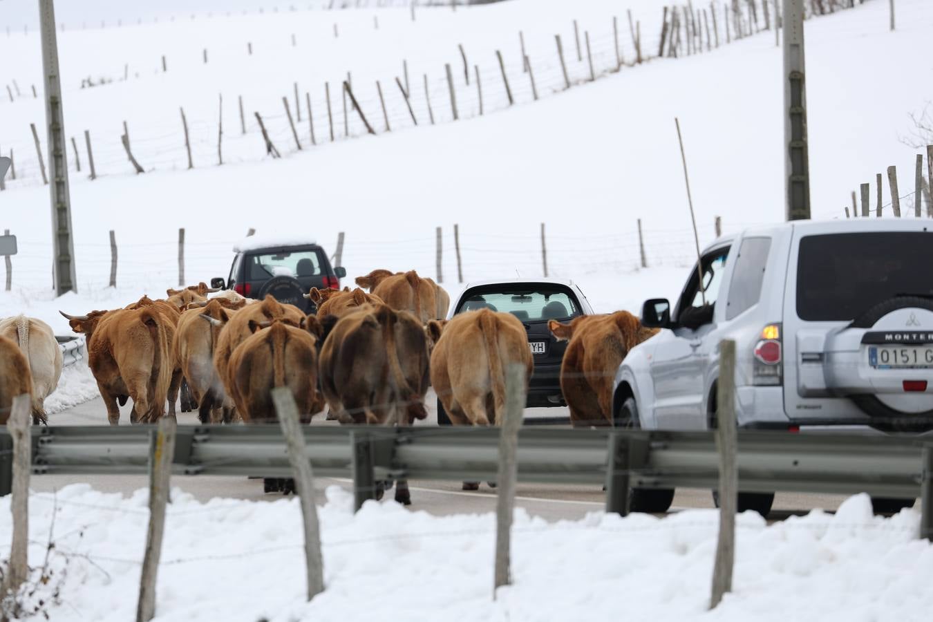 La nieve ha dejado bellas estampas en Campoo