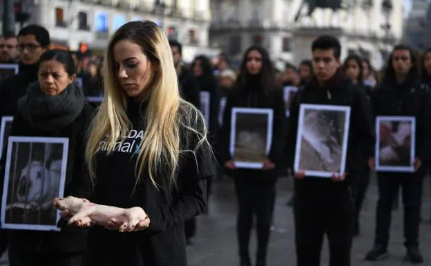 Protestan en Madrid con cadáveres de animales para pedir que se respeten sus derechos