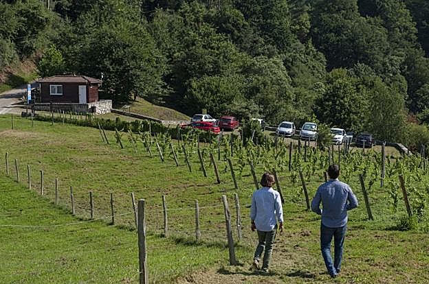 El ayuntamiento trata de dar un impulso a la protección del entorno de la cueva de El Pendo. 