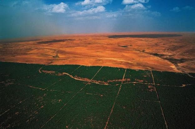 Vista aérea de un tramo del Sahel en el que se aprecia el desierto del Sáhara, al norte, y el dique verde transcontinental, al sur