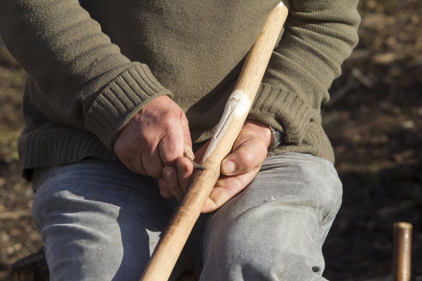 Las incógnitas de las reses sacrificadas en Bielva