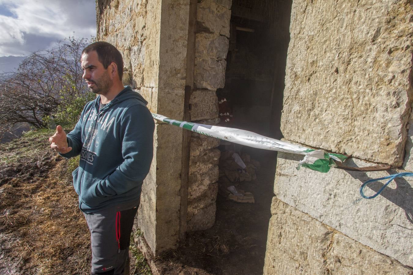 Las incógnitas de las reses sacrificadas en Bielva