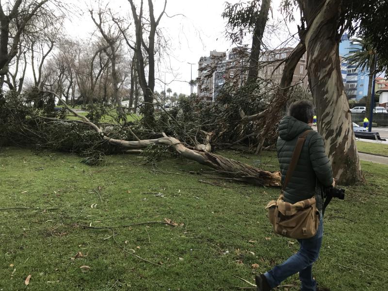 Un reguero de incidencias por el temporal de viento &#039;Bruno&#039; en Cantabria