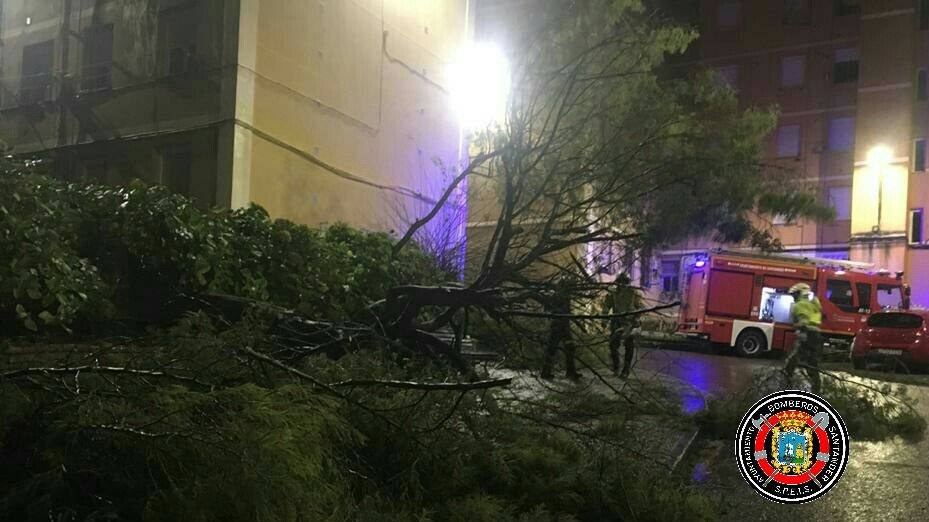 Un reguero de incidencias por el temporal de viento &#039;Bruno&#039; en Cantabria