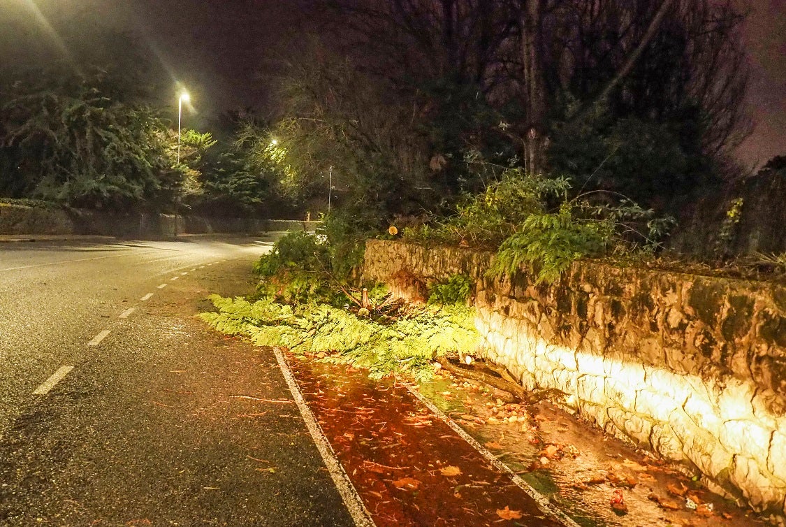 Un reguero de incidencias por el temporal de viento &#039;Bruno&#039; en Cantabria