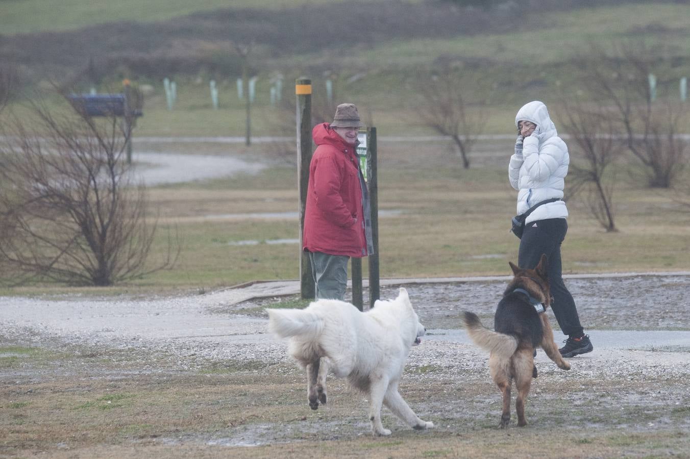 Un reguero de incidencias por el temporal de viento &#039;Bruno&#039; en Cantabria