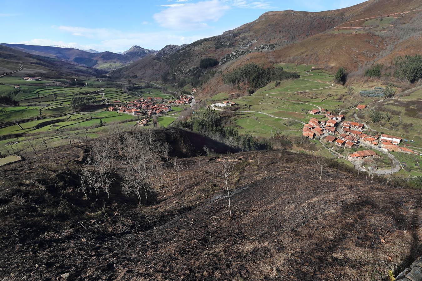 El monte ennegrecido muestra los efectos del fuego a su paso por Carmona. 