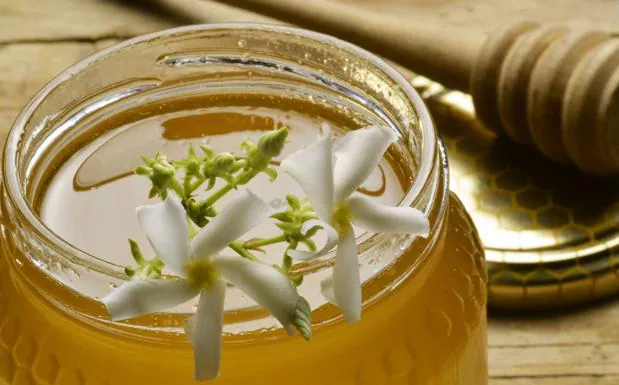 Cuatro tipos de miel de Cantabria