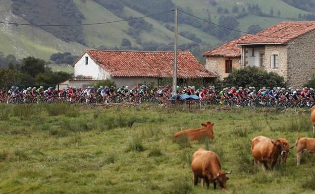 El pelotón a su paso por la localidad de Abanillas, durante una de las etapas de la Vuelta 2017 