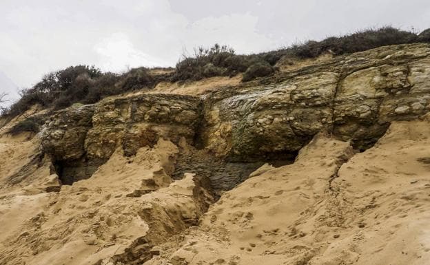Aspecto que presenta la duna de Loredo por la que, tras los últimos temporales, asoma el acantilado cubierto hace 5.000 años. 
