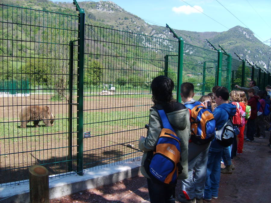 La vida de &#039;Tola&#039; y &#039;Paca&#039; en imágenes