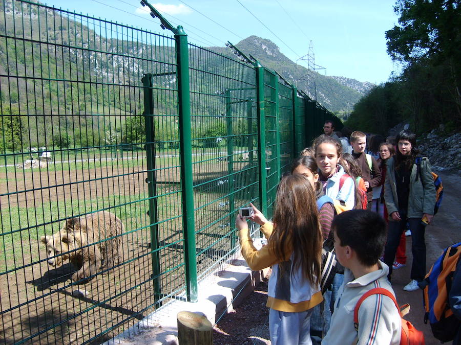 La vida de &#039;Tola&#039; y &#039;Paca&#039; en imágenes