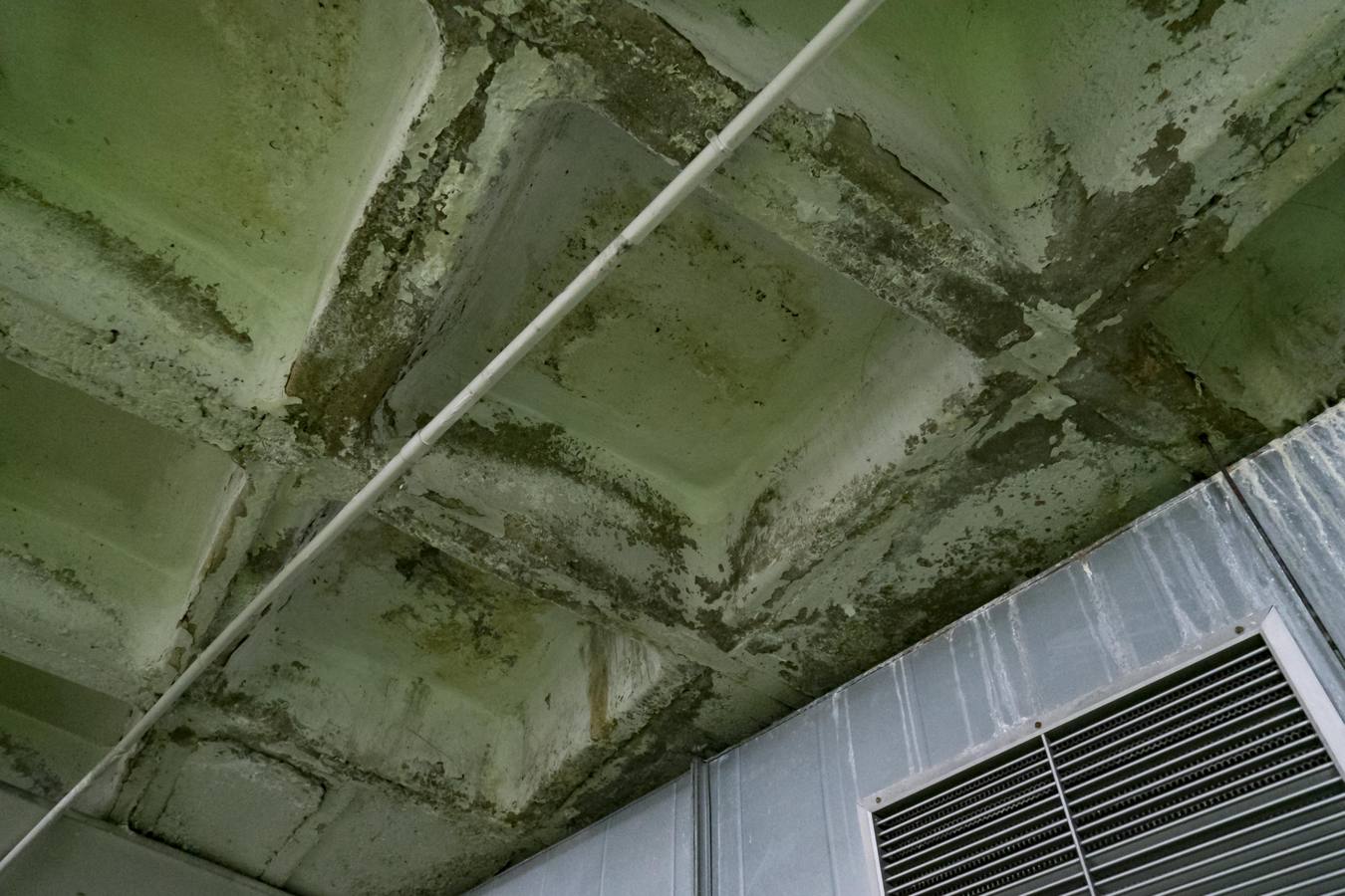 El techo, uno de los elementos más afectados por la humedad.