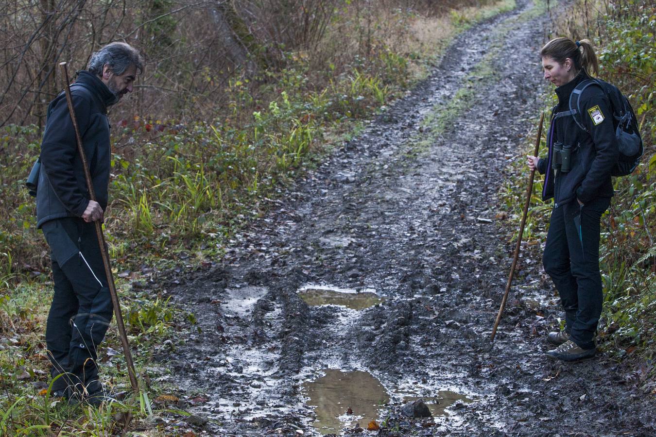 Los osos, más cerca de los hombres en la Cordillera Cantábrica