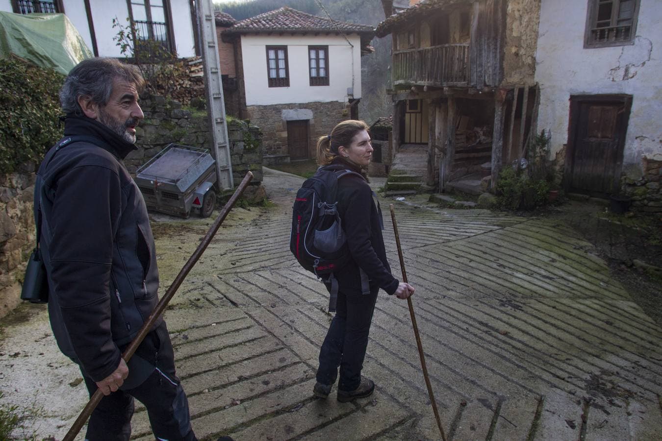 Los osos, más cerca de los hombres en la Cordillera Cantábrica