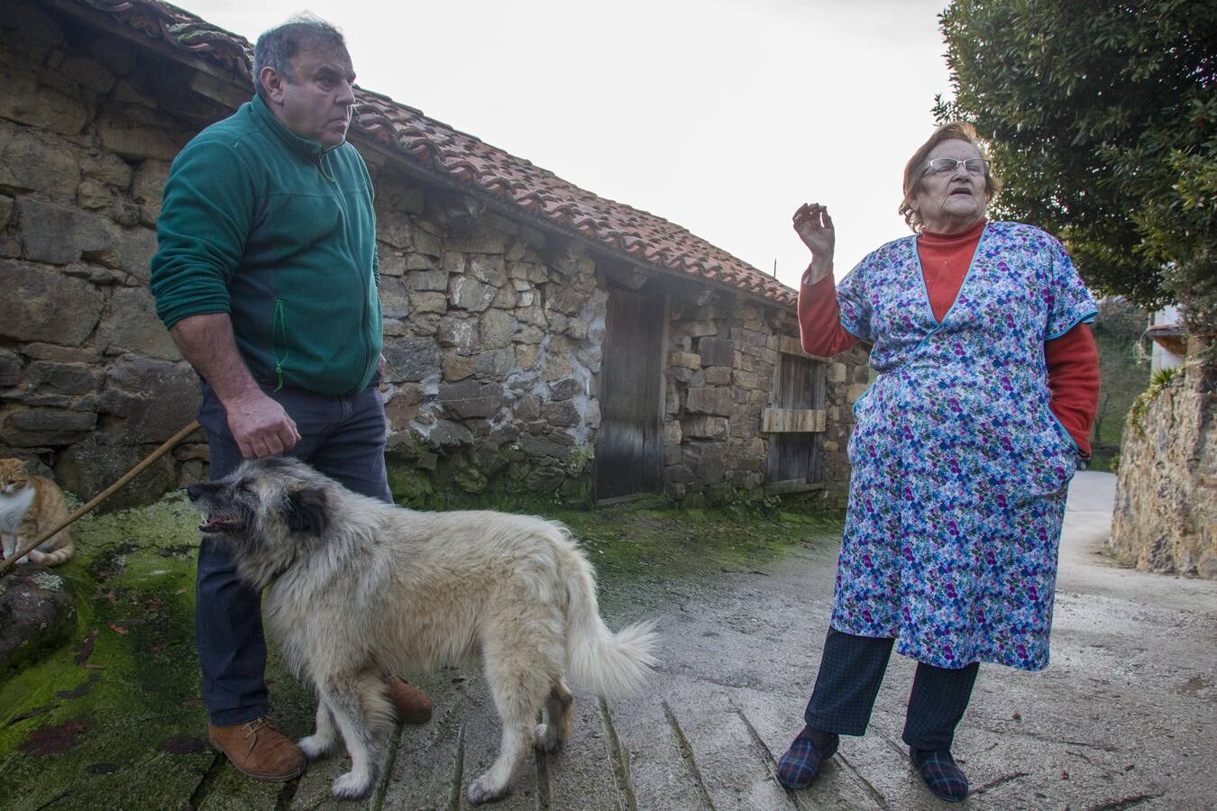 Los osos, más cerca de los hombres en la Cordillera Cantábrica