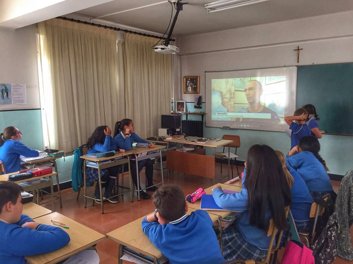 Imágenes del proyecto del colegio La Enseñanza en el que los alumnos de Primaria se convierten en 'guardianes'