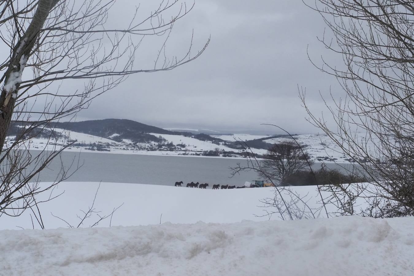 Un manto blanco cubre la zona de Campoo