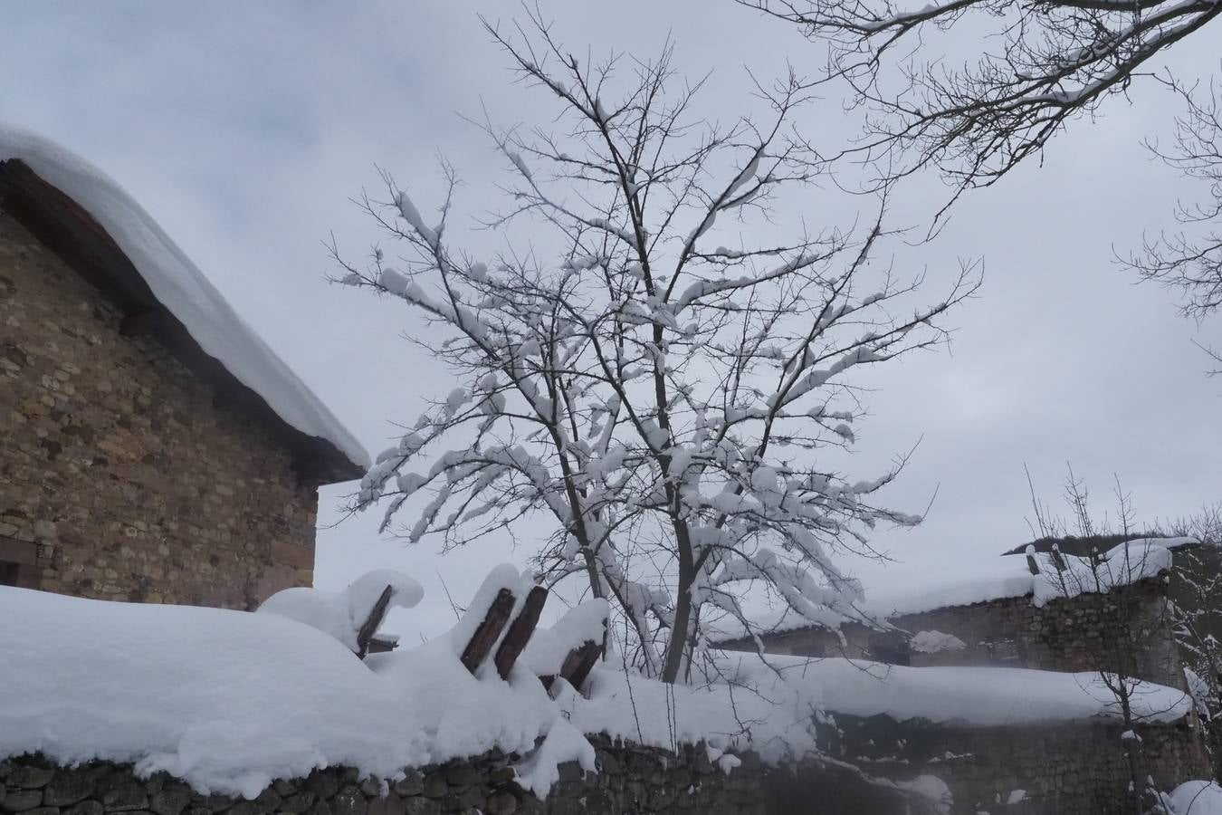 Un manto blanco cubre la zona de Campoo