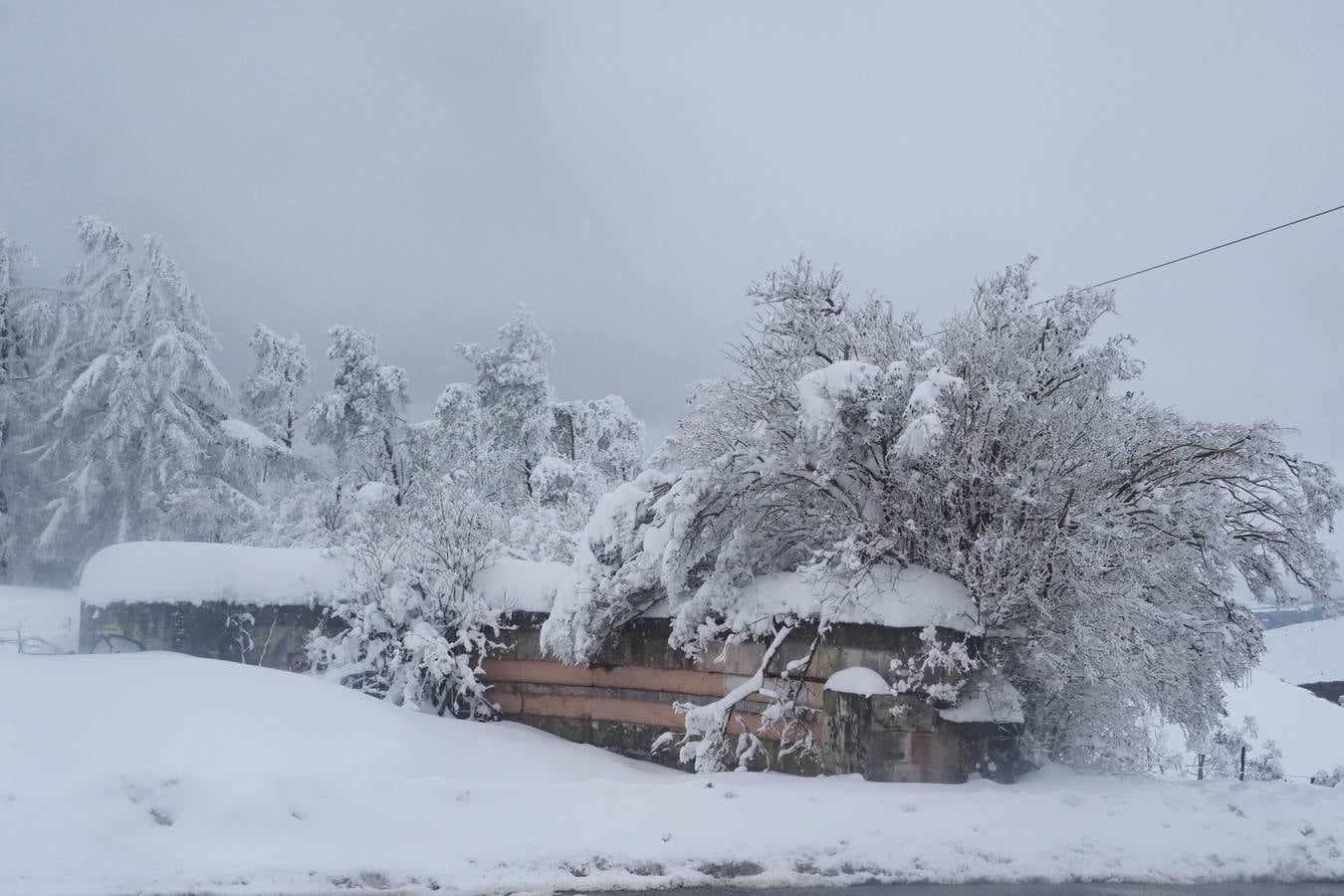 Un manto blanco cubre la zona de Campoo