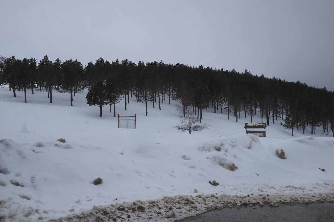 Un paseo por San Glorio bajo la nieve