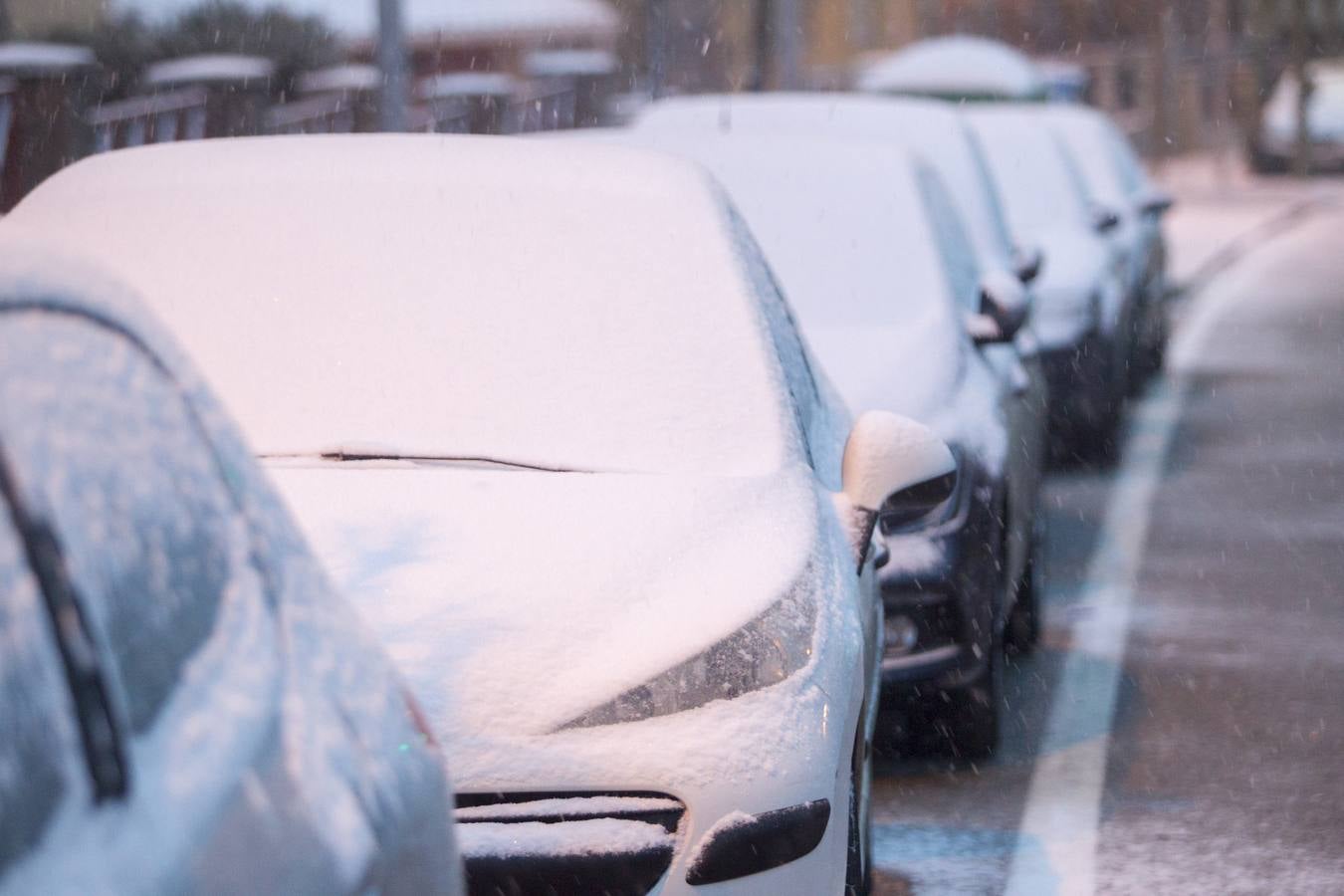 Fotos: A clase y a trabajar bajo la nieve