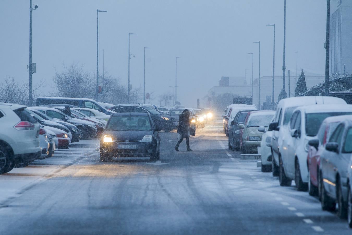 Fotos: A clase y a trabajar bajo la nieve