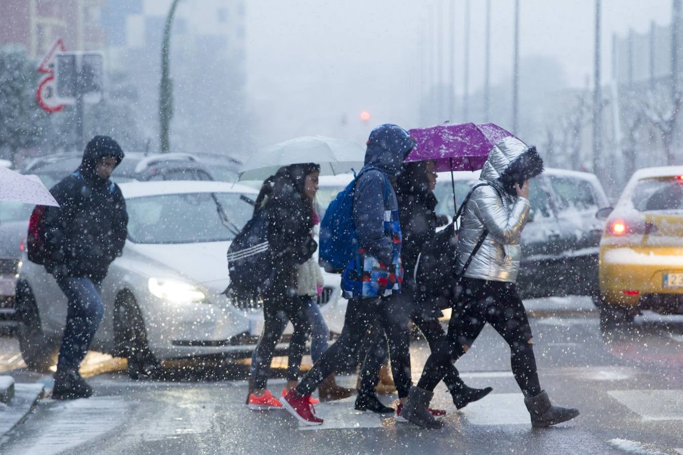 Fotos: A clase y a trabajar bajo la nieve