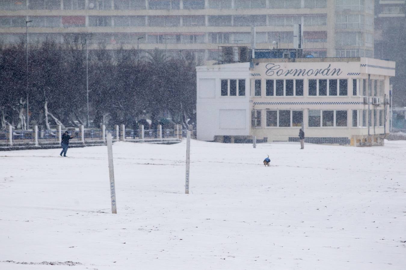 Fotos: A clase y a trabajar bajo la nieve