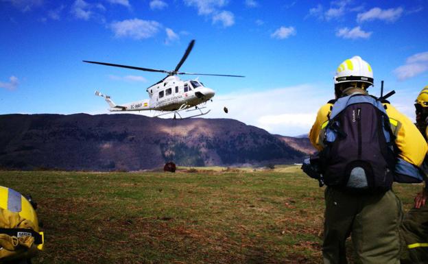 Los cien incendios forestales surgidos en los últimos cuatro días han sido «premeditados»